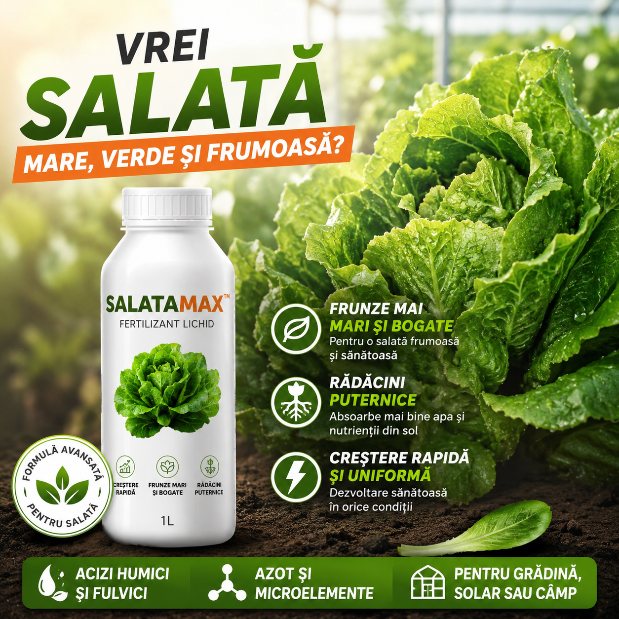 1L Secretul Salatei Mari, Verzi Și Crocante- SalataMax™