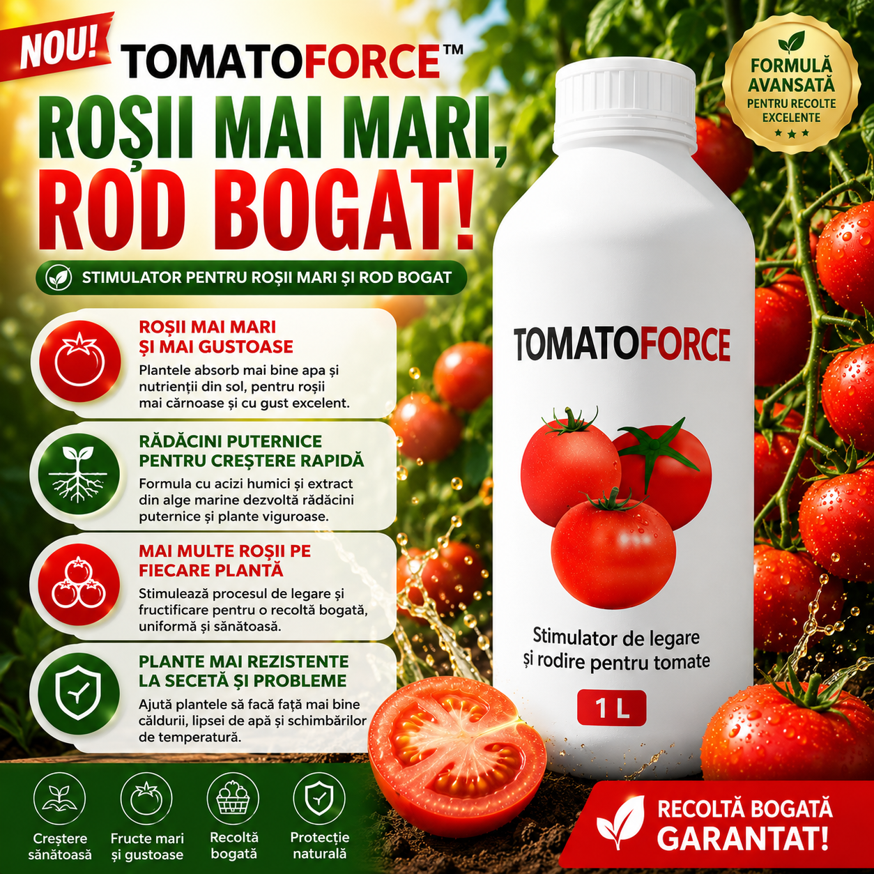 Stimulator Pentru Roșii Mari Și Rod Bogat – TomatoForce™