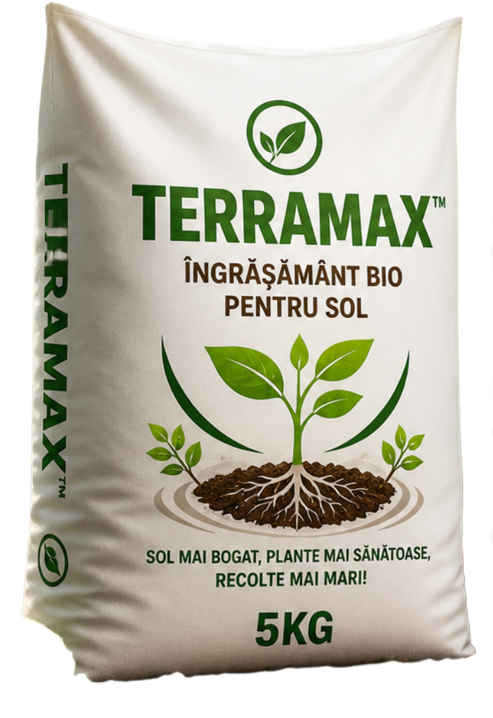 Efect TerraMax