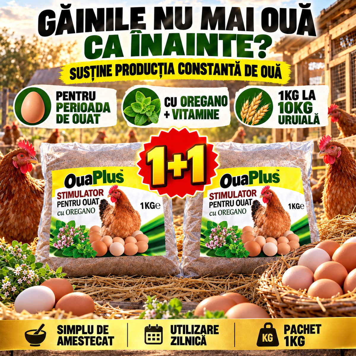 ouaplus-1plus1-ro