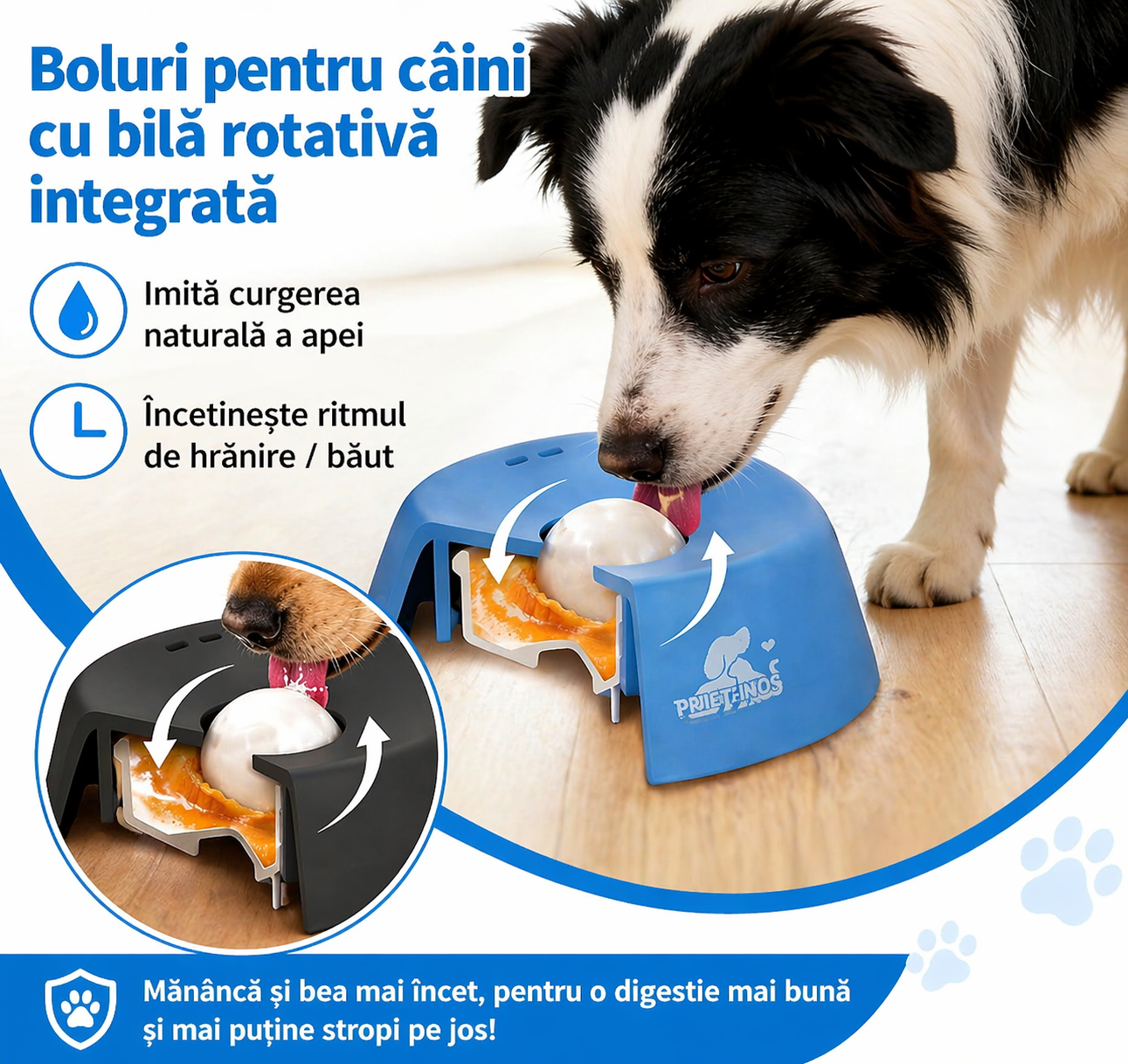 Bol Anti-Murdărie pentru Câini - CleanBowl™