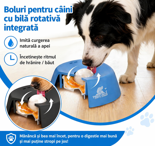 Bol Anti-Murdărie pentru Câini - CleanBowl™