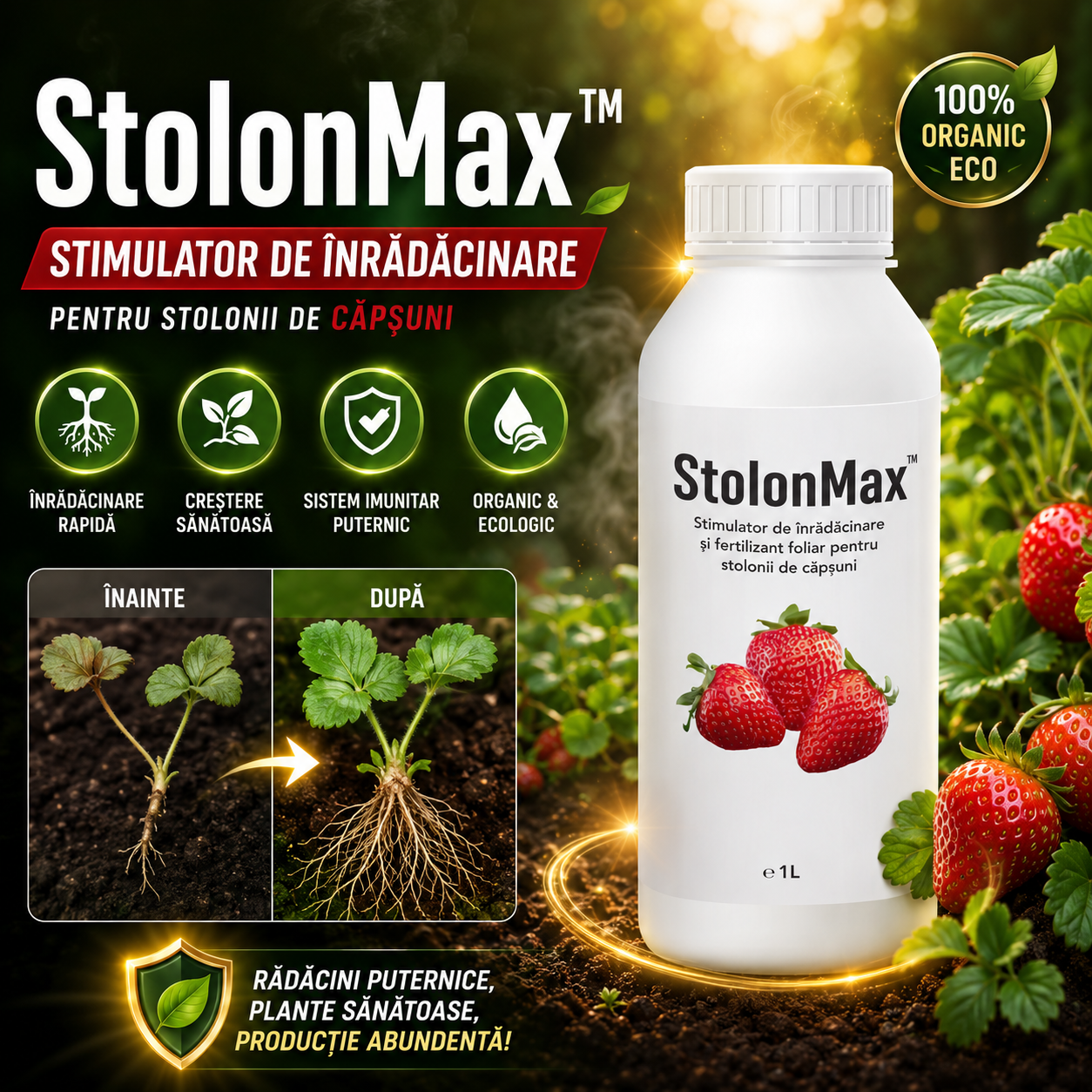 1L Stimulator de Înrădăcinare pentru Căpșuni StolonMax™